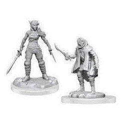 D&D Nolzur's Miniatures:...