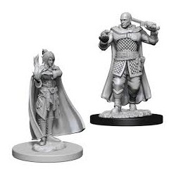 D&D Nolzur's Miniatures...