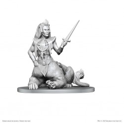 D&D Nolzur's Marvelous...