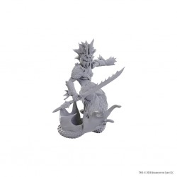 D&D Nolzur's Miniatures -...