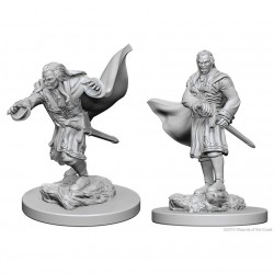 D&D Nolzur's Miniatures -...